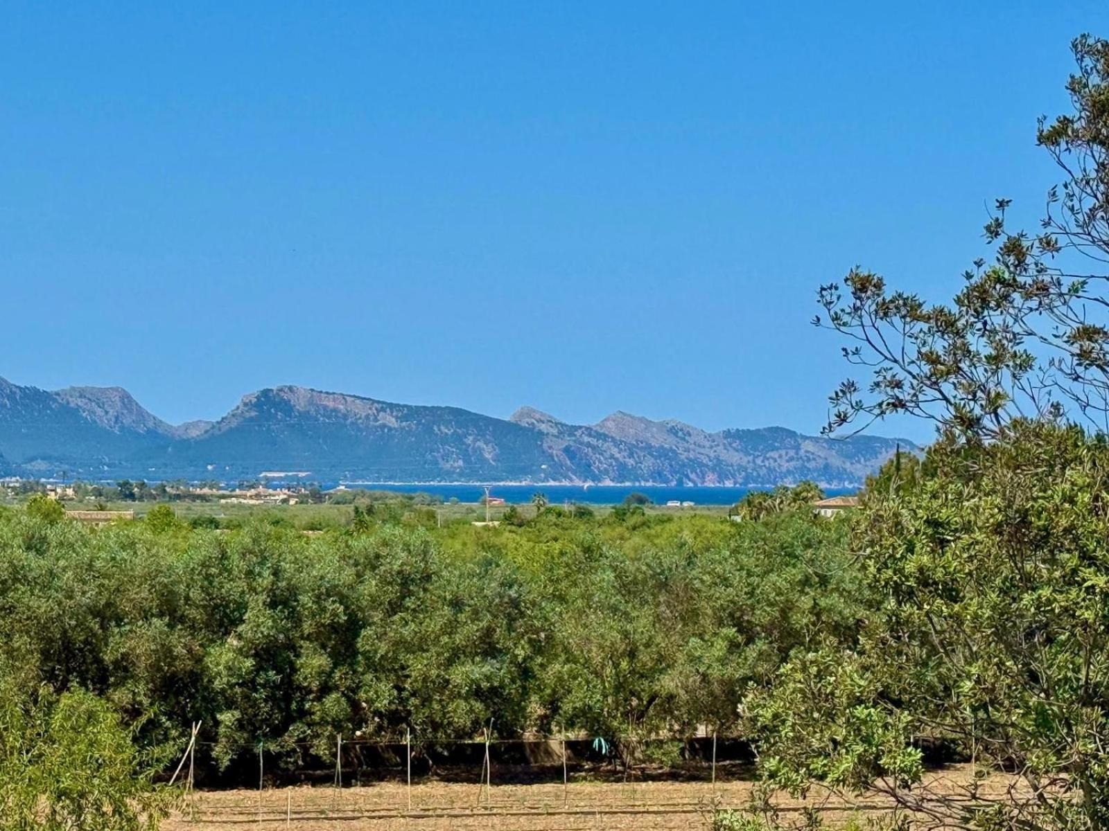 Ferienhaus Sa Figuera Roja *