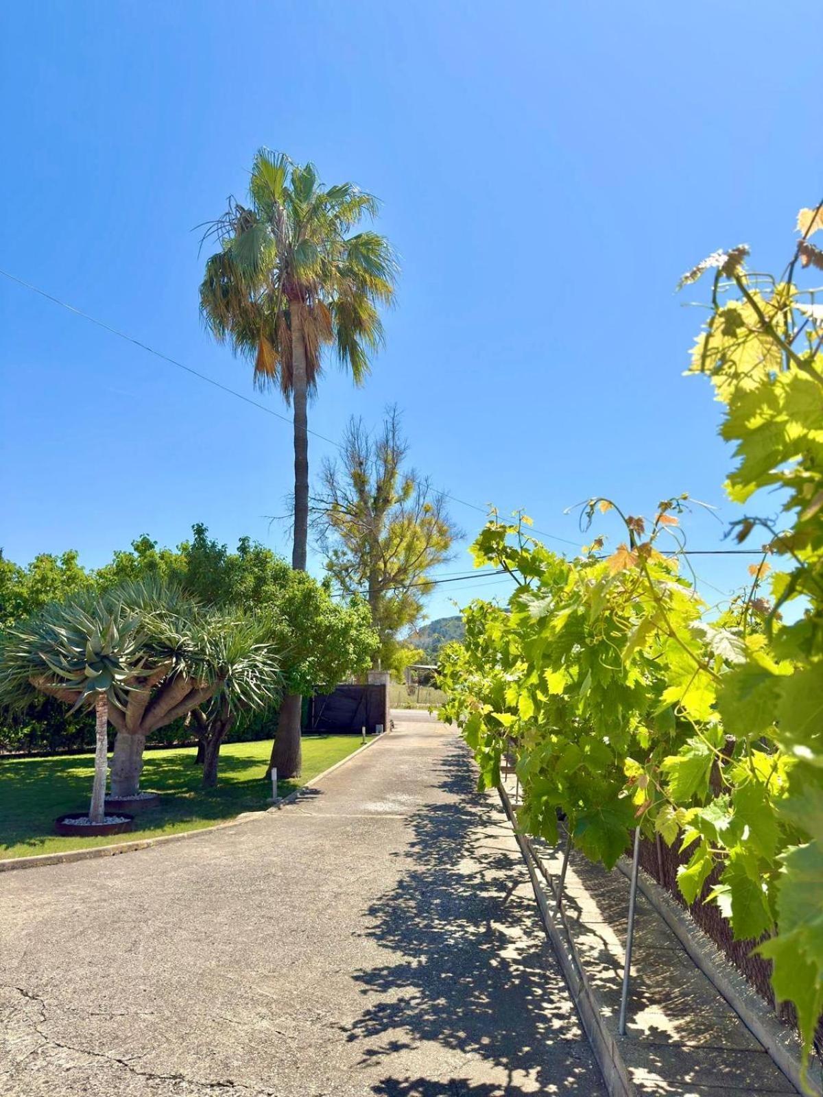 Ferienhaus Sa Figuera Roja Alcúdia